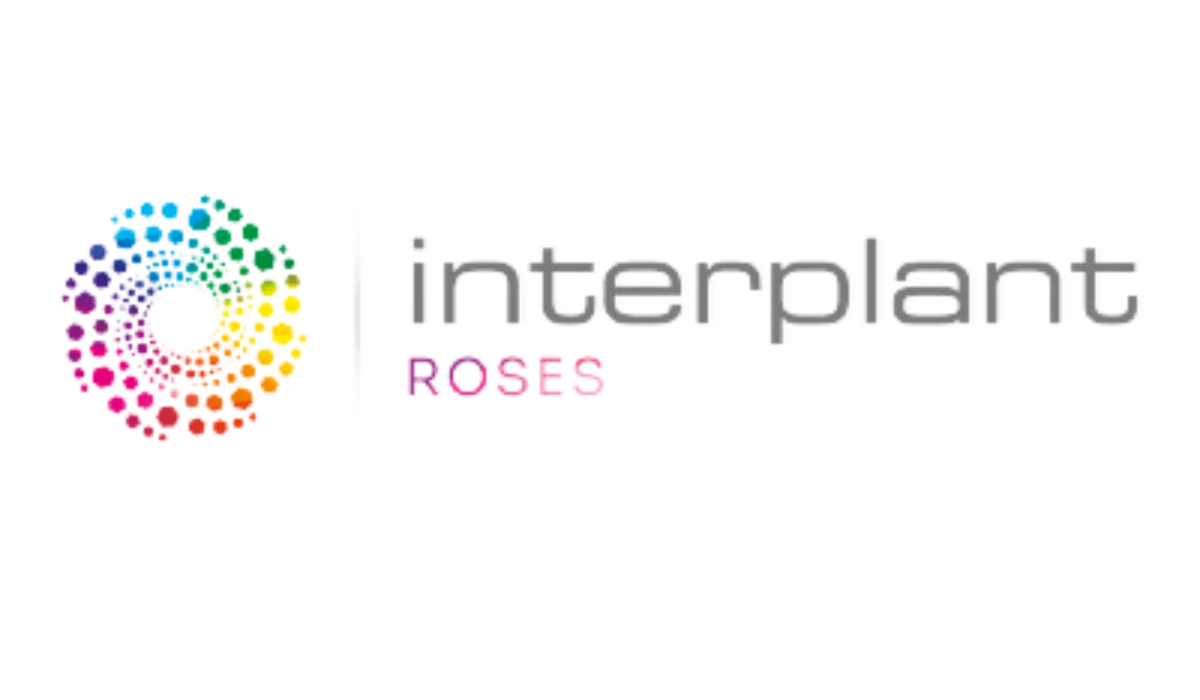 Interplant roses logo